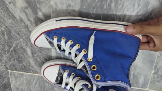 Customized/ Special Edition Converse Chuck Taylor All Star High Tops