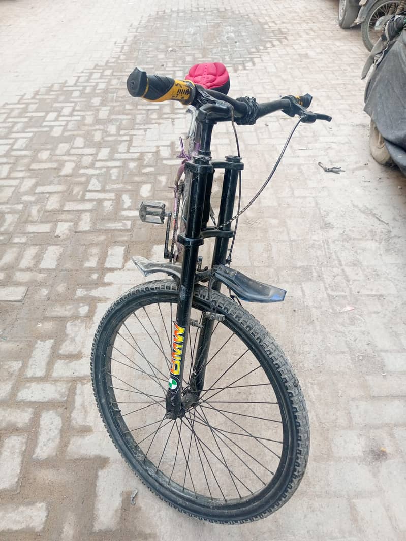 bicycle 2