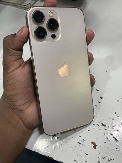 Apple iPhone 13 Pro Max