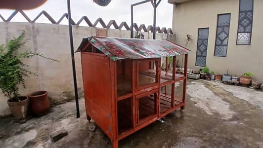 Customize premium wood cage