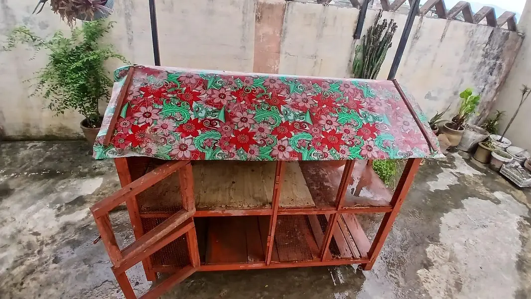 Customize premium wood cage — photo 5