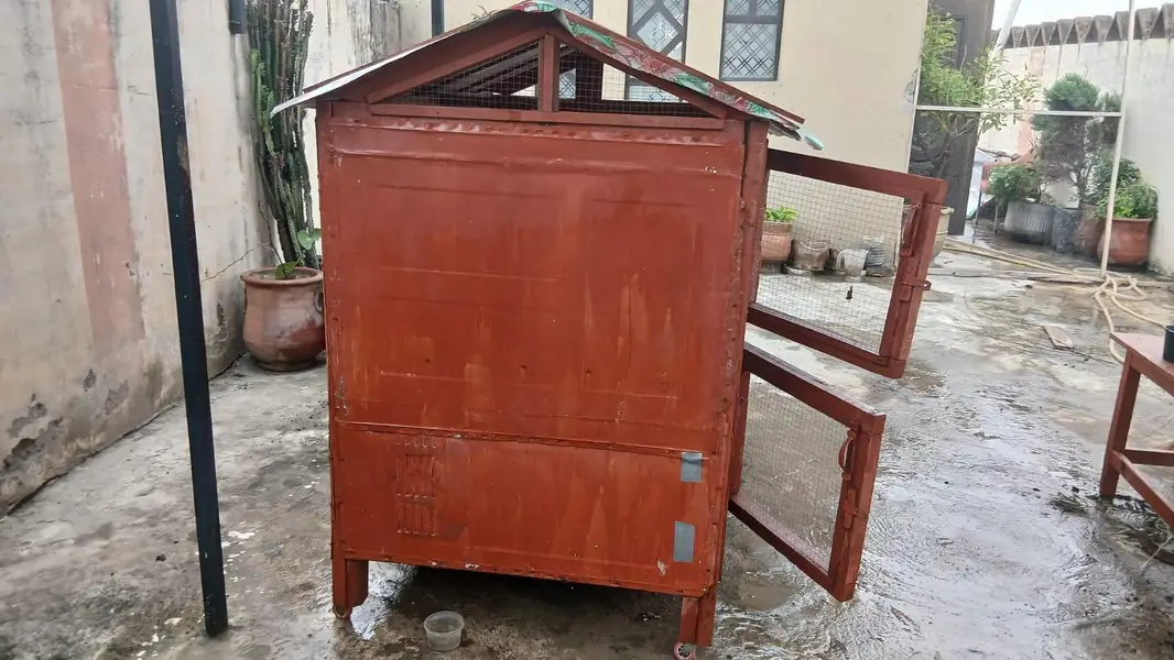 Customize premium wood cage — photo 9