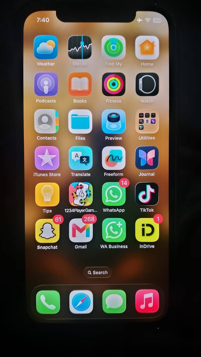 Apple iPhone 12 5