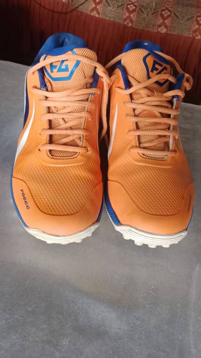 Fg Don 555 Cricket Shoes