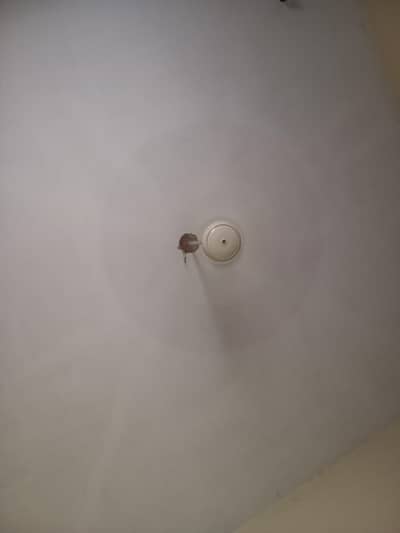 good candtion fan