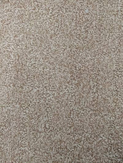 carpet just new
