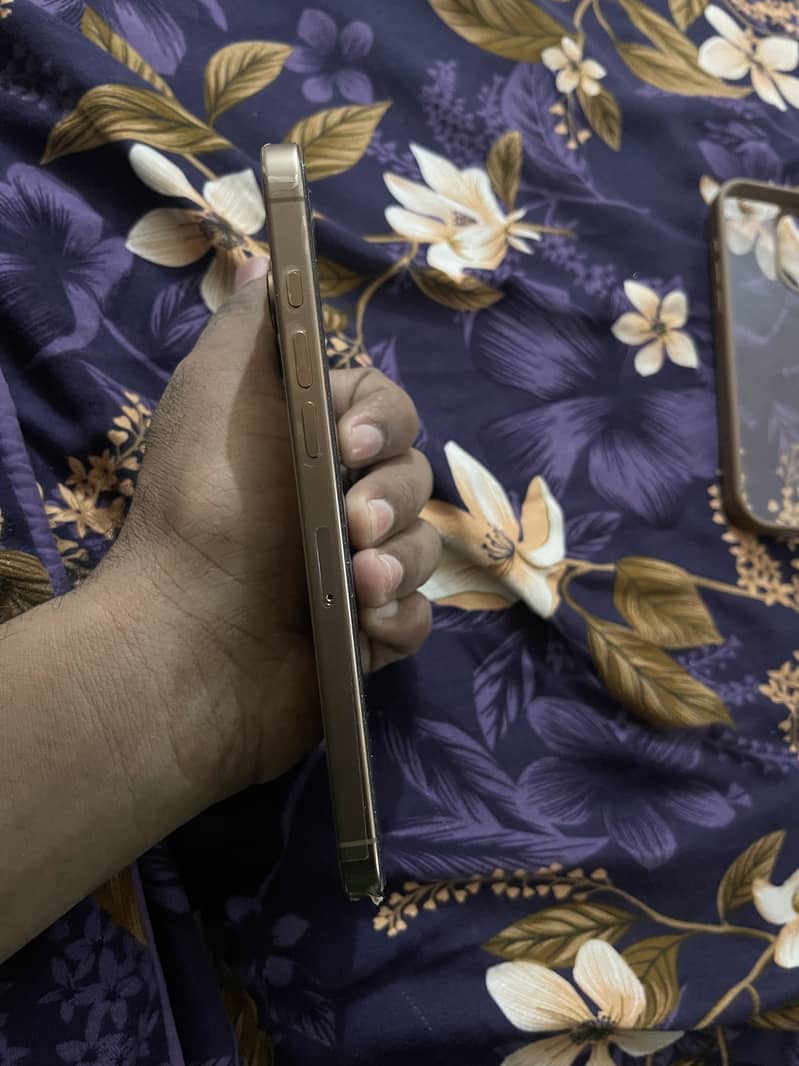 Apple iPhone 16 Pro Max 2