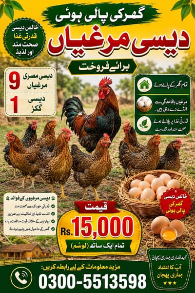 9 Murgia or Aik Desi Murgha