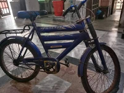 PHOENIX Bicycle