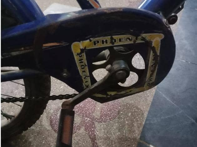 PHOENIX Bicycle 1
