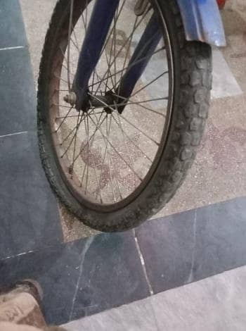 PHOENIX Bicycle 3
