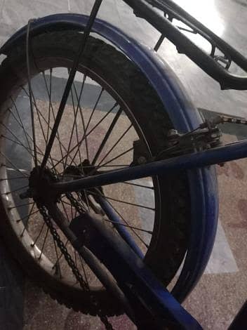 PHOENIX Bicycle 4