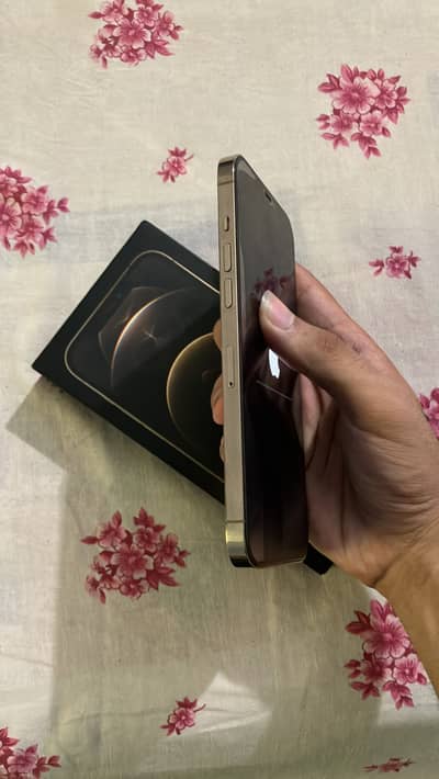 Apple iPhone 12 Pro Max