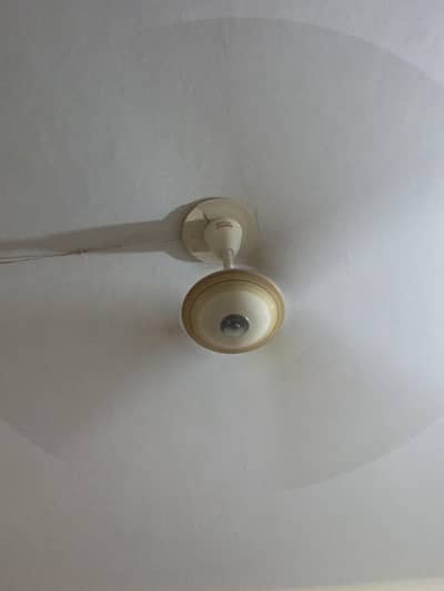 GFC Fan pure copper