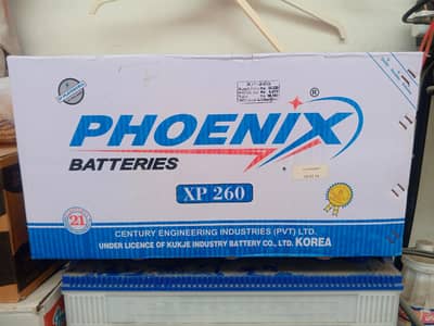 Battery and Invertor