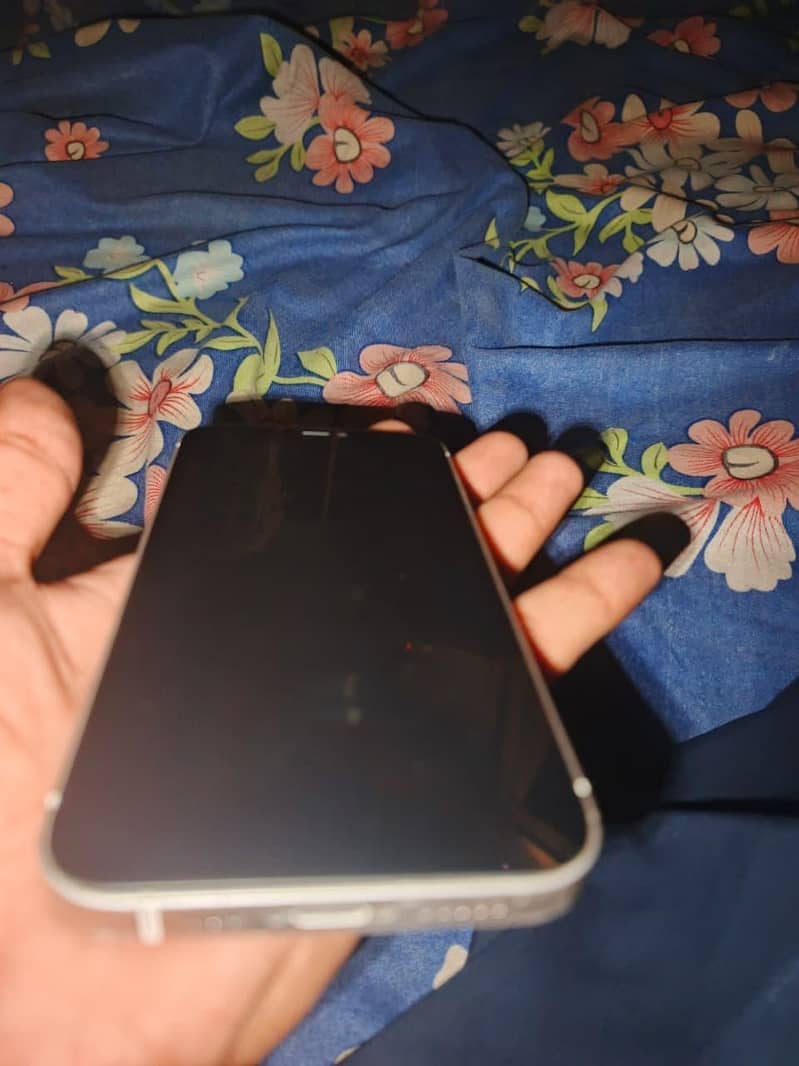 Apple iPhone 12 2