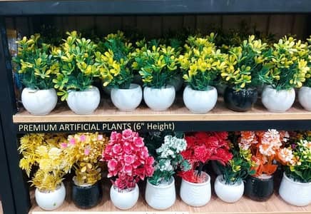 Article plant - Home Decorations