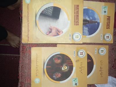 punjab board 1st years ki books