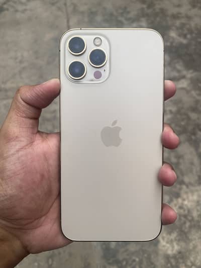 Iphone 12 pro max