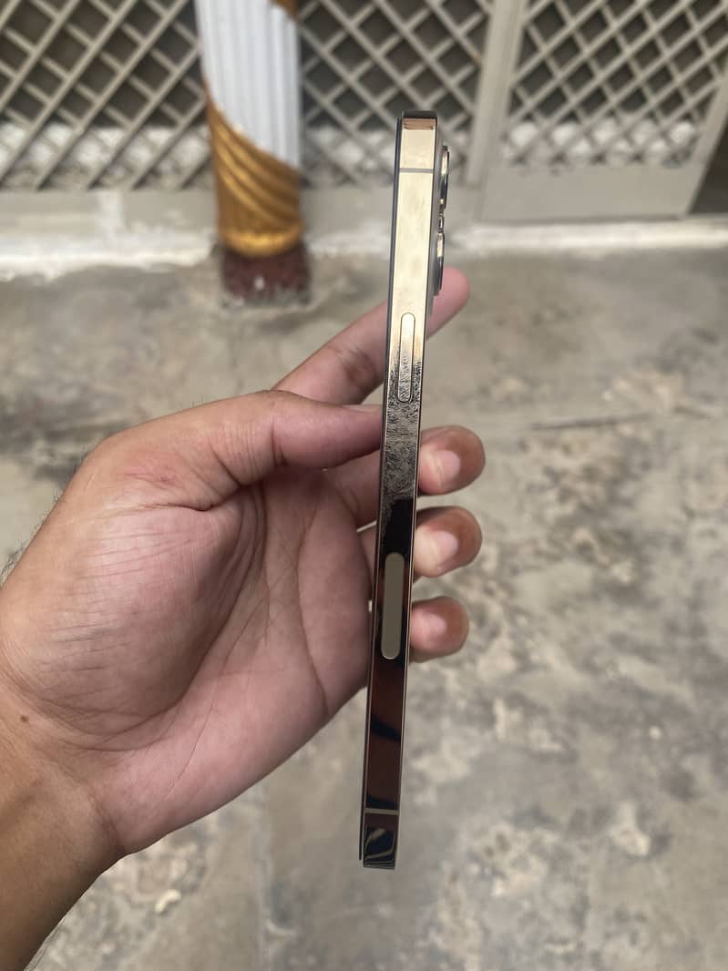 Iphone 12 pro max 1