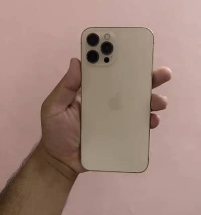Apple iPhone 12 Pro Max