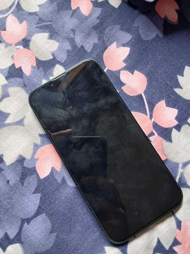 Apple iPhone 13 0