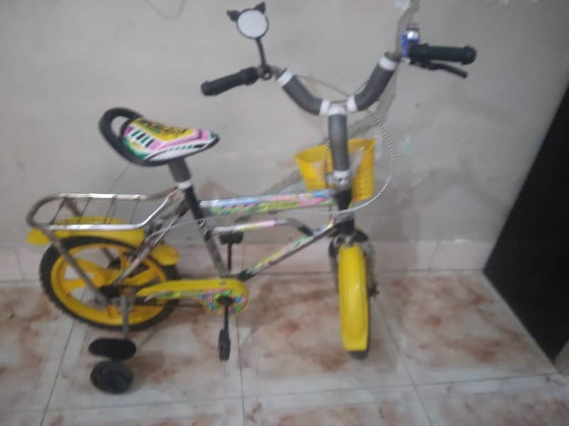 bycycle 1