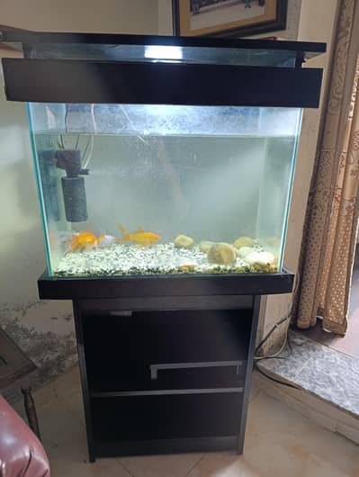 Aquarium and Fish