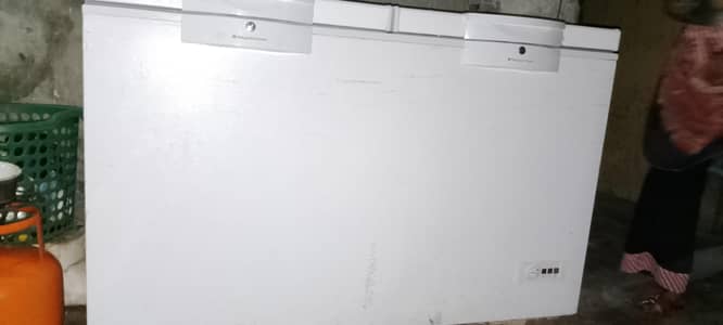Double doors freezer