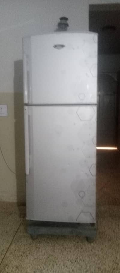hair fridge large size