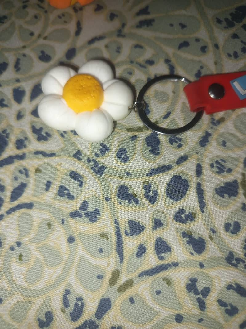 Ducks 3