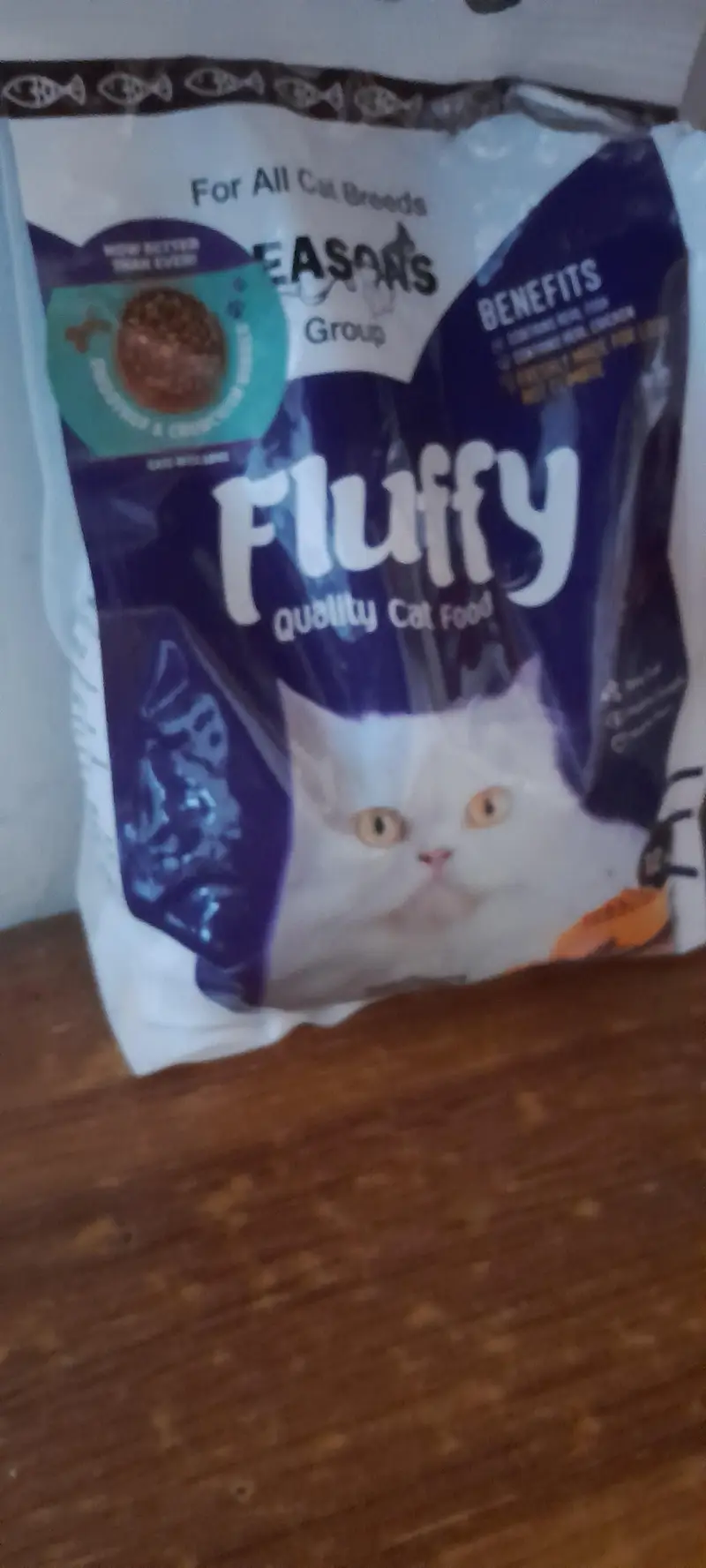 grey Persian cat along with accessories — photo 6