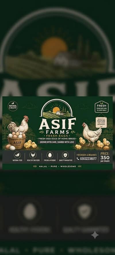 Pure desi organic eggs available for sale fresh and nutrient dense