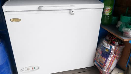 Single Door Freezer