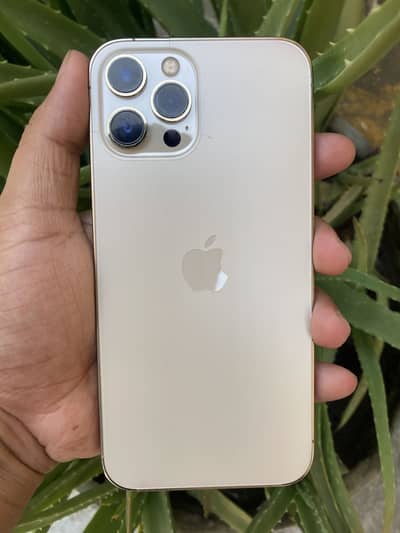 Apple iPhone 12 Pro