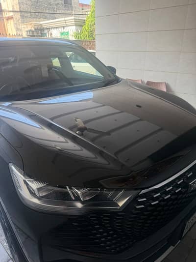 Haval H6 HEV 1.5 2024 Model