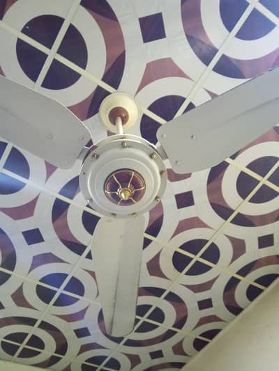 ceiling fan
