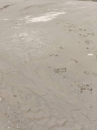 land plot in jhang