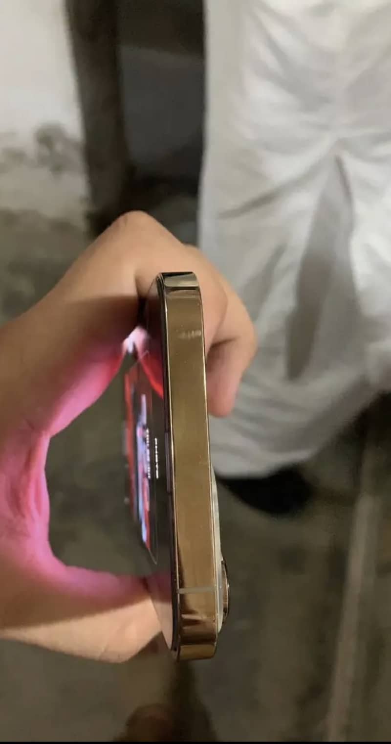 Apple iPhone 13 Pro Max 1