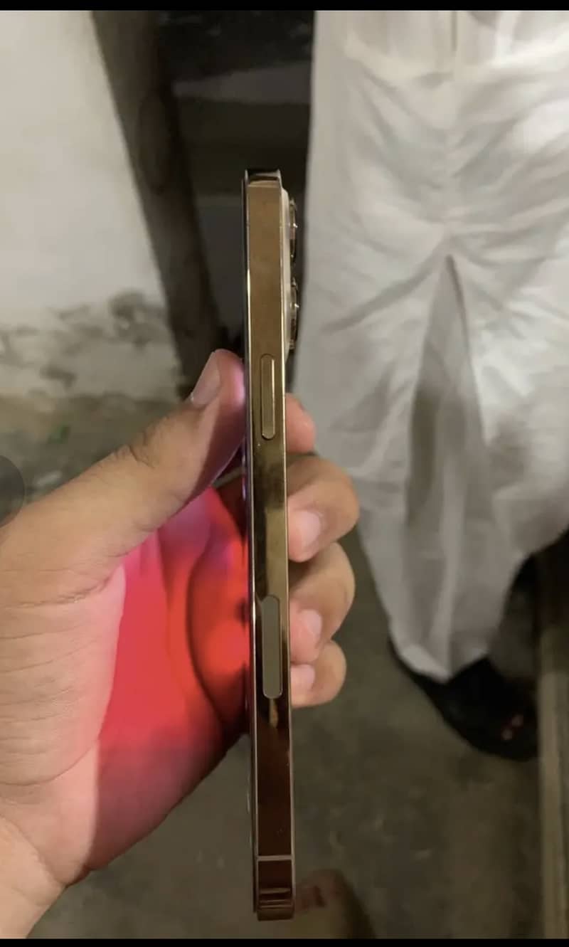 Apple iPhone 13 Pro Max 2