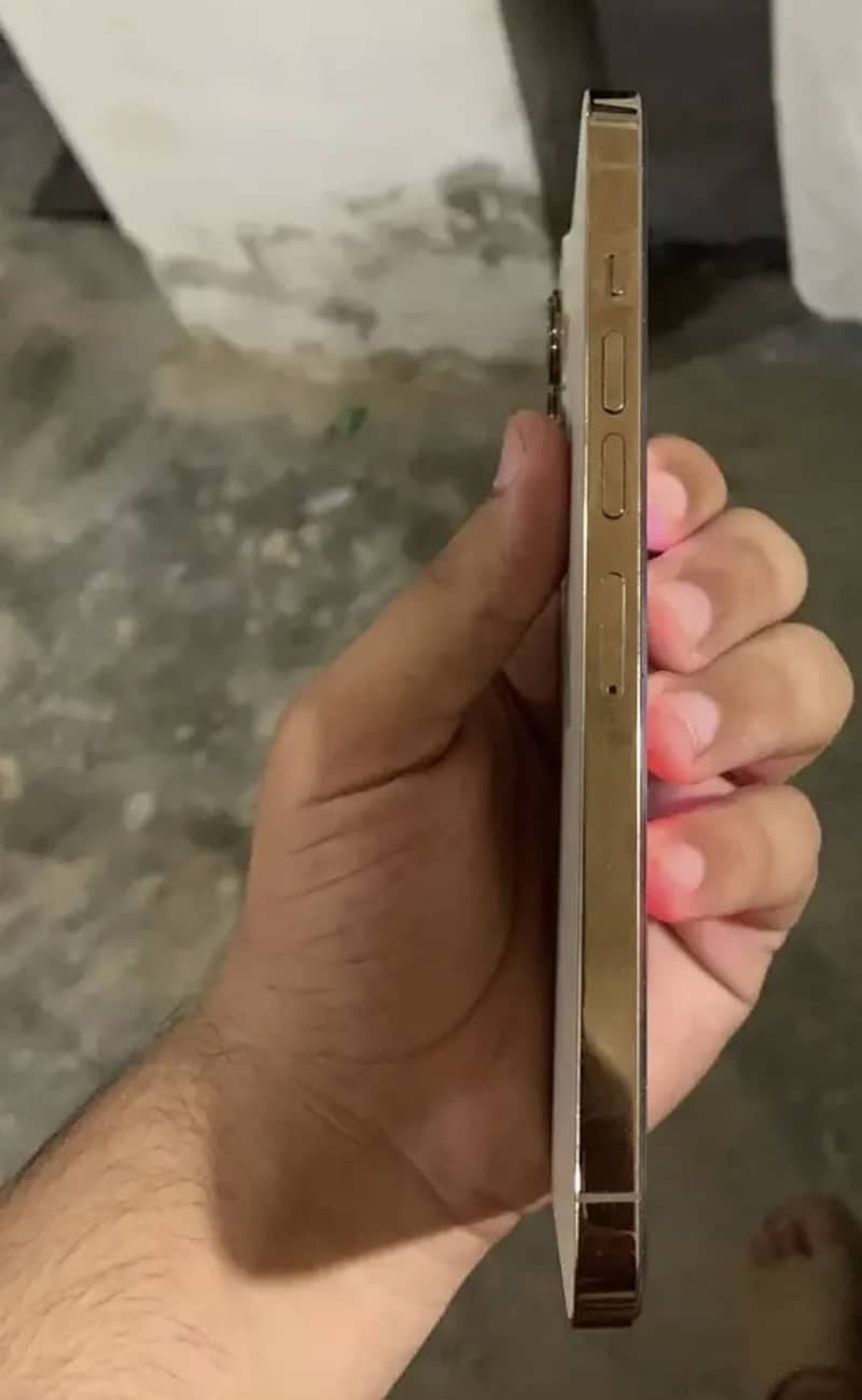 Apple iPhone 13 Pro Max 4