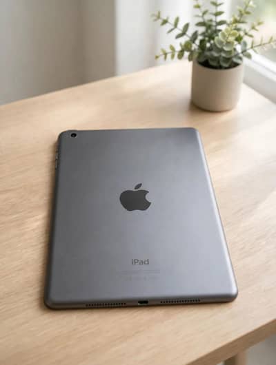 ipad mini 5 sale 17000