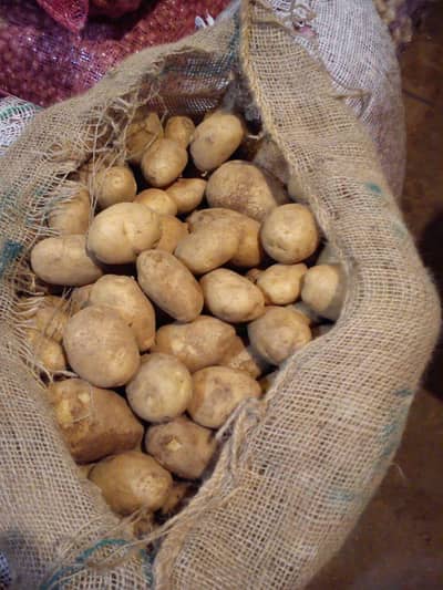 peshawar wholesale only