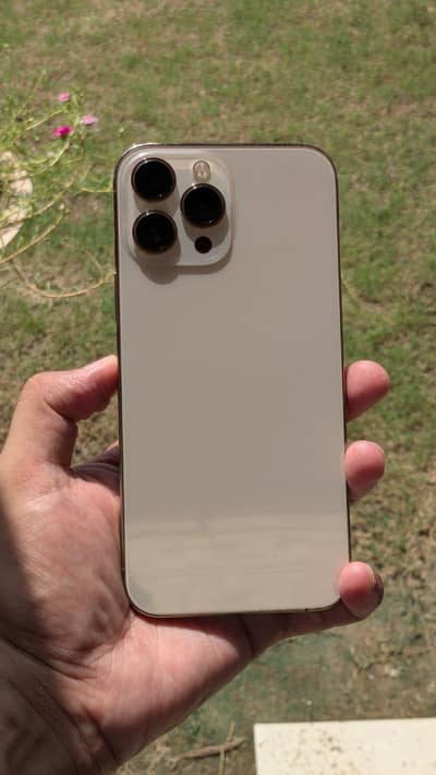 Apple iPhone 13 Pro Max