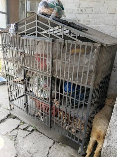 powerfull cage for sale