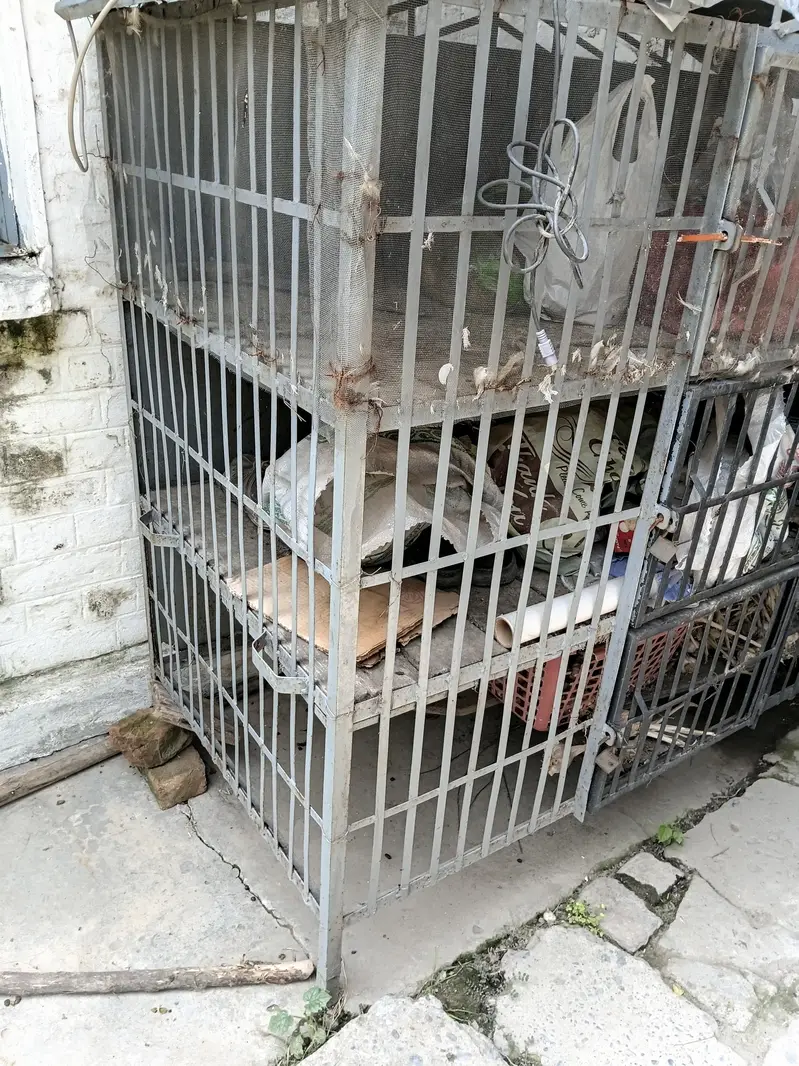 powerfull cage for sale — photo 2