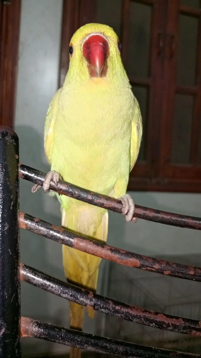 Bhut masoom hai bhut friendly — photo 4