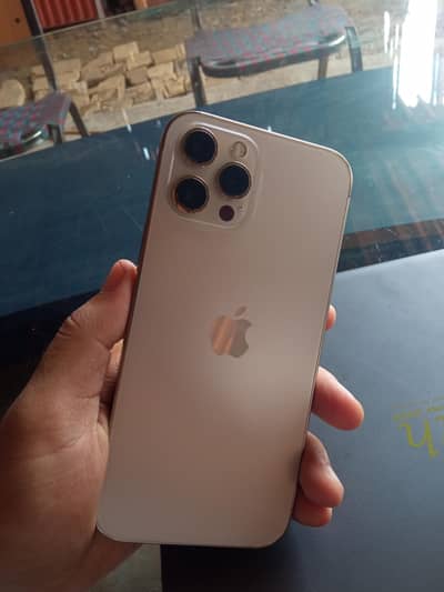 Apple iPhone 12 Pro Max