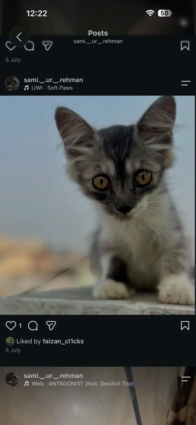 1 and half months cat — photo 3