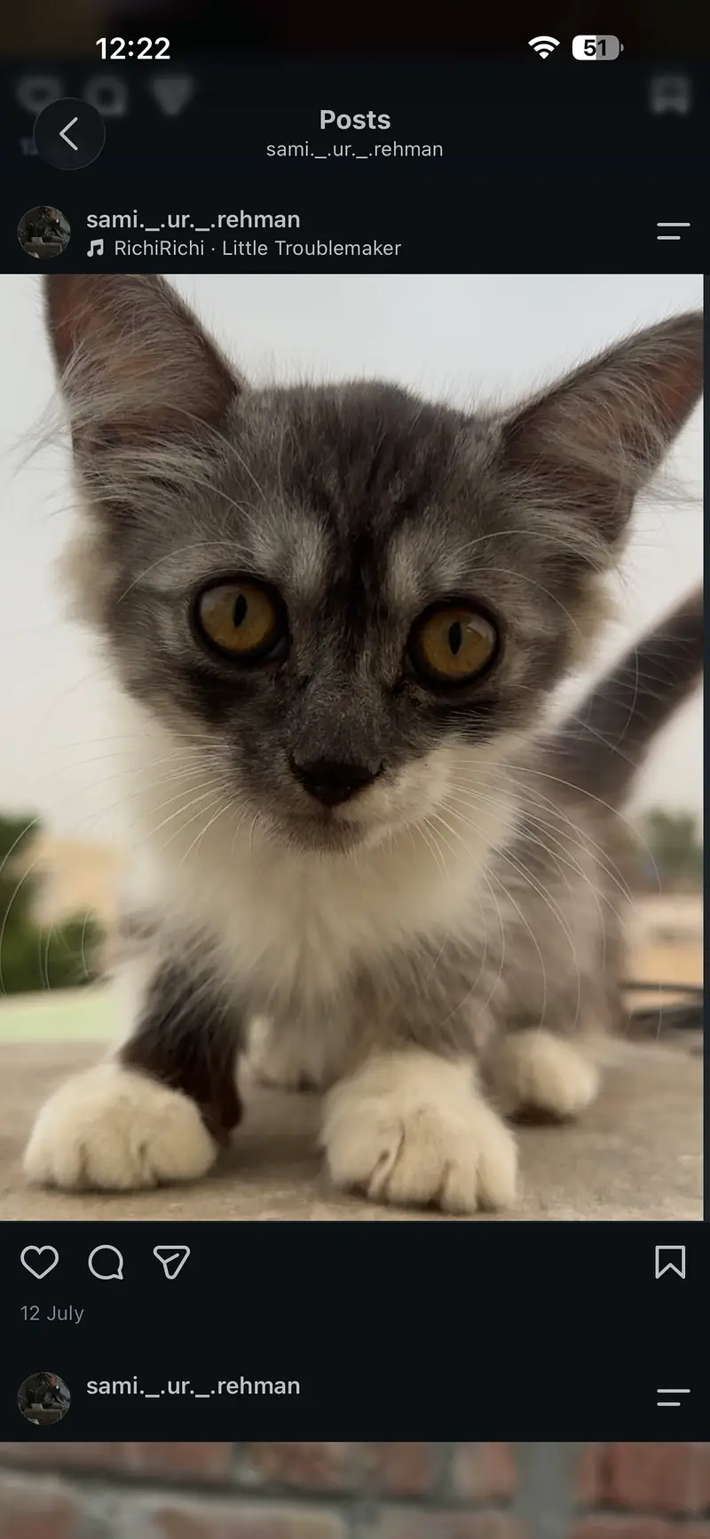 1 and half months cat — photo 4